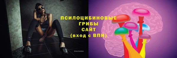 PSILOCYBIN Алексеевка