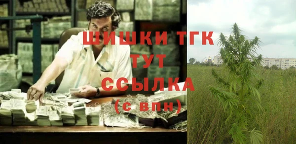 PSILOCYBIN Алексеевка